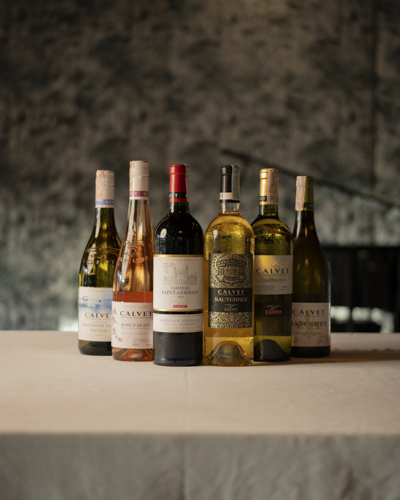 Social Media Management